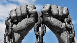 Historic Unity Drives Modern Slavery Reform New Zealand