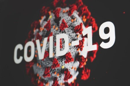Covid response praised but scars remain