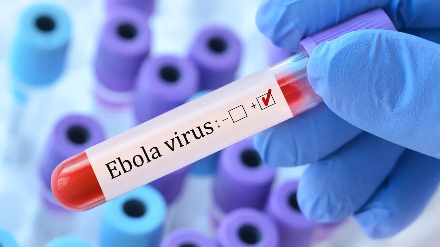 Ebola Kills Three Red Cross volunteers