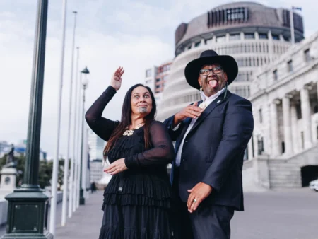 Te Pāti Māori at a Crossroads