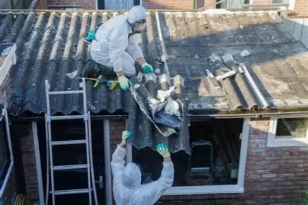 Contaminated Land And Asbestos Management Demand Growing