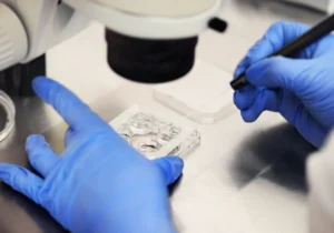 IVF kills more babies than Planned Parenthood