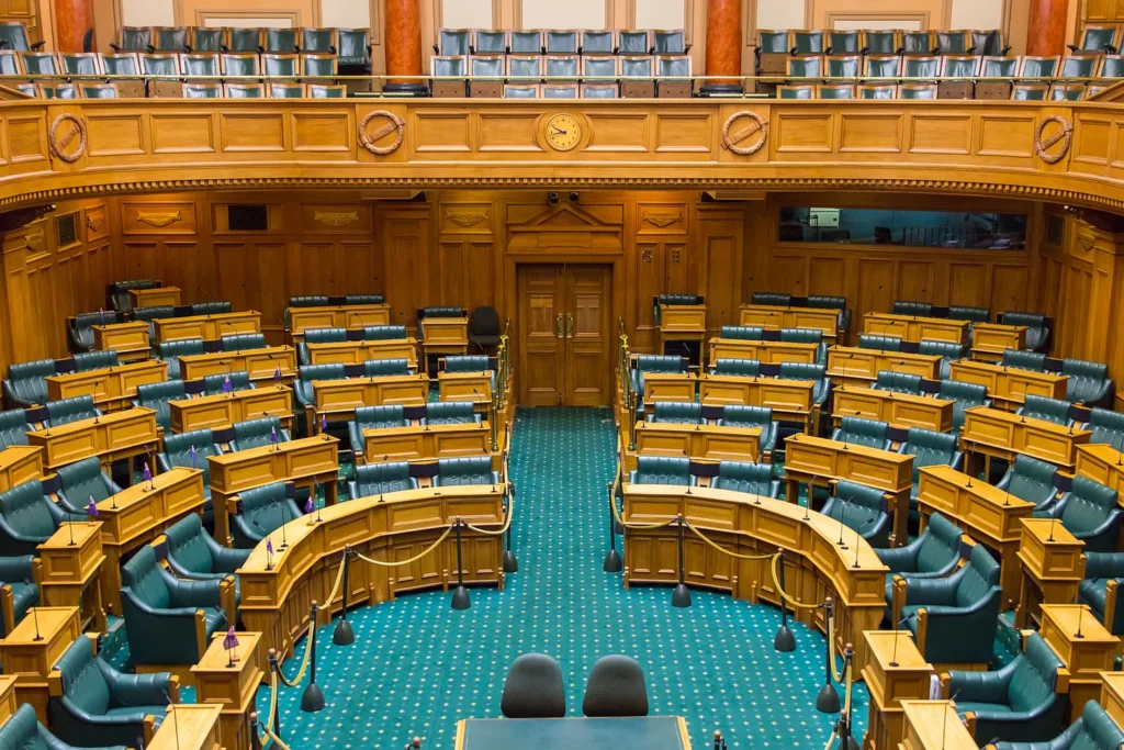 Is the New Zealand Parliament too dominated by “the whip”?