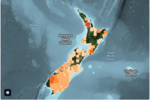 Civil Defence Website Crashes During Tsunami Warning After South Island Quake