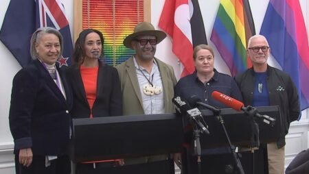 Te Pāti Māori Pledges $200 Million for Takatāpui-Led Commission