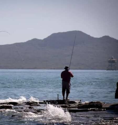 Catch a Feed, Protect the Gulf: National Unveils Fisheries Plan