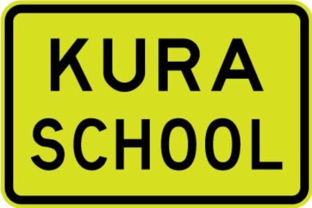 Te Pāti Māori Pledges $1.25 Billion Boost for Māori Education
