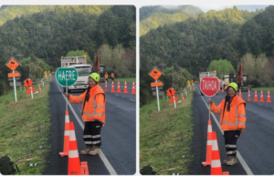 Government’s Language Direction Under Scrutiny as Māori Rebranding Continues